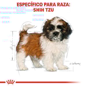 Royal Canin Alimento Seco para Cachorro Raza Shih Tzu, 1.1 kg