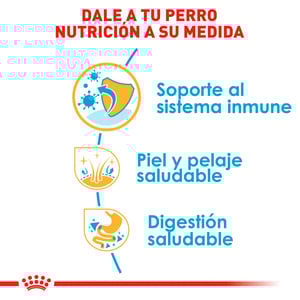Royal Canin Alimento Seco para Cachorro Raza Shih Tzu, 1.1 kg