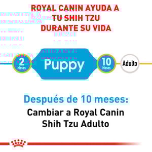 Royal Canin Alimento Seco para Cachorro Raza Shih Tzu, 1.1 kg