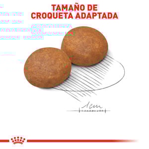 Royal Canin Alimento Seco para Perro Adulto Raza Mediana, 13.6 kg