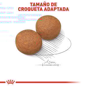 Royal Canin Alimento Seco para Perro Adulto Raza Grande, 13.6 kg