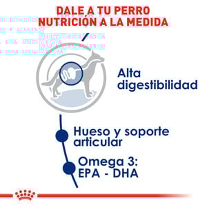 Royal Canin Alimento Seco para Perro Adulto Raza Grande, 13.6 kg