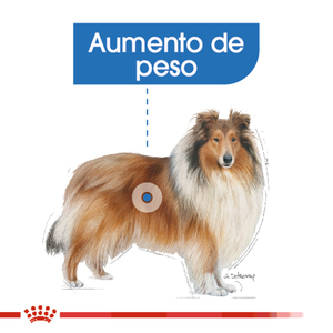 Royal Canin Weight Care Alimento Seco para Perro Adulto Control de Peso Raza Grande, 13.6 kg