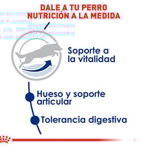 Royal Canin Alimento Seco para Perro Senior Raza Grande, 13.6 kg