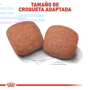Royal Canin Alimento Seco para Perro Adulto Raza Gigante, 13.6 kg
