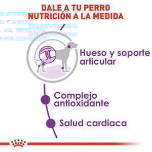 Royal Canin Alimento Seco para Perro Adulto Raza Gigante, 13.6 kg