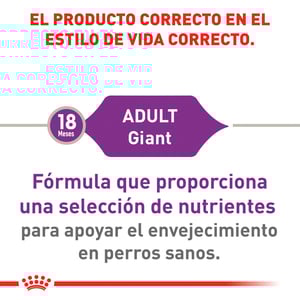 Royal Canin Alimento Seco para Perro Adulto Raza Gigante, 13.6 kg