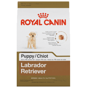 Royal Canin Alimento Seco para Cachorro Raza Labrador Retriever, 13.6 kg Royal Canin Alimento Seco para Cachorro Raza Labrador Retriever, 13.6 kg