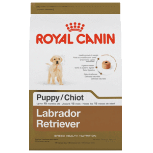Royal Canin Alimento Seco para Cachorro Raza Labrador Retriever, 13.6 kg