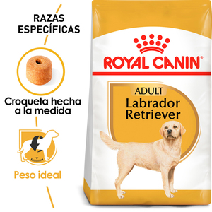 Royal Canin Alimento Seco para Perro Adulto Raza Labrador Retriever, 13.6 kg