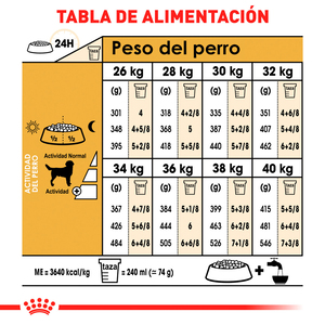 Royal Canin Alimento Seco para Perro Adulto Raza Labrador Retriever, 13.6 kg