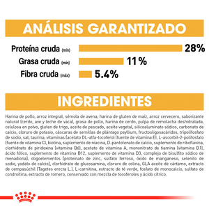 Royal Canin Alimento Seco para Perro Adulto Raza Labrador Retriever, 13.6 kg