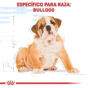 Royal Canin Alimento Seco para Cachorro Raza Bulldog, 13.6 kg
