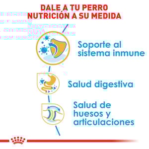 Royal Canin Alimento Seco para Cachorro Raza Bulldog, 13.6 kg