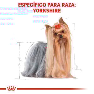 Royal Canin Alimento Seco para Perro Adulto Raza Yorkshire Terrier, 4.5 kg