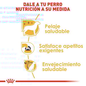 Royal Canin Alimento Seco para Perro Adulto Raza Yorkshire Terrier, 4.5 kg