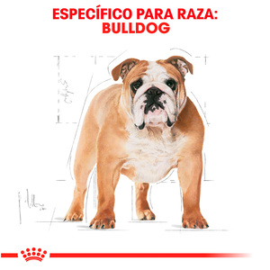 Royal Canin Alimento Seco para Perro Adulto Raza Bulldog, 13.6 kg