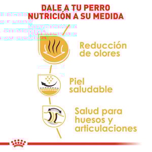 Royal Canin Alimento Seco para Perro Adulto Raza Bulldog, 13.6 kg