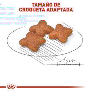 Royal Canin Alimento Seco para Perro Adulto Raza Pequeña, 6.3 kg