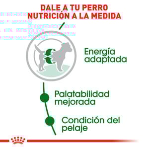 Royal Canin Alimento Seco para Perro Adulto Raza Pequeña, 6.3 kg