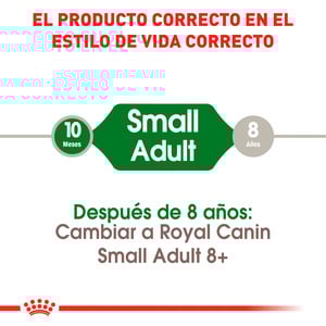 Royal Canin Alimento Seco para Perro Adulto Raza Pequeña, 6.3 kg