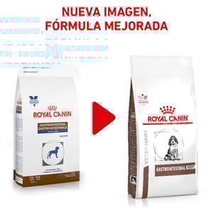 Royal Canin Veterinary Diet Alimento Seco Gastrointestinal para Cachorro, 4 kg