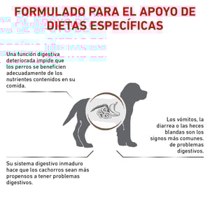 Royal Canin Veterinary Diet Alimento Seco Gastrointestinal para Cachorro, 4 kg