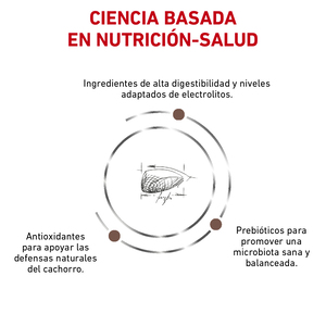 Royal Canin Veterinary Diet Alimento Seco Gastrointestinal para Cachorro, 4 kg