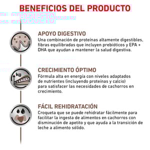 Royal Canin Veterinary Diet Alimento Seco Gastrointestinal para Cachorro, 4 kg