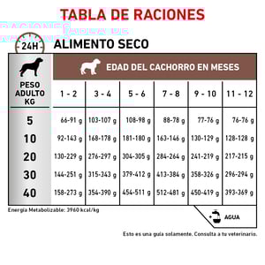 Royal Canin Veterinary Diet Alimento Seco Gastrointestinal para Cachorro, 4 kg