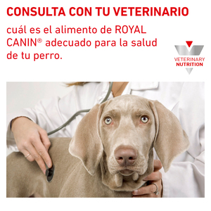 Royal Canin Veterinary Diet Alimento Seco Gastrointestinal Bajo en Grasa para Perro Adulto, 3 kg