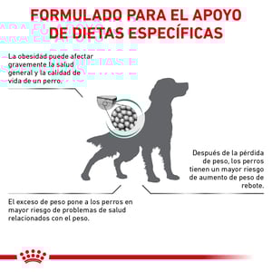 Royal Canin Veterinary Diet Alimento Seco Soporte de Saciedad para Perro Adulto Raza Mediana/Grande, 12 kg