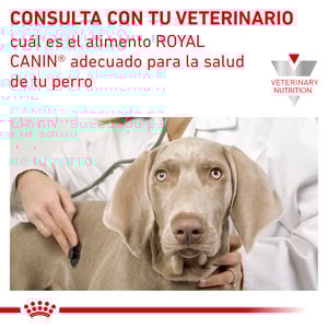 Royal Canin Veterinary Diet Alimento Seco Soporte de Saciedad para Perro Adulto Raza Mediana/Grande, 12 kg