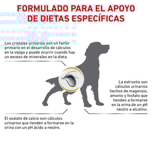 Royal Canin Veterinary Diet Alimento Seco Para Tracto Urinario Para Perro Adulto, 11.5 kg