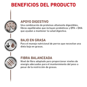 Royal Canin Veterinary Diet Alimento Húmedo Gastrointestinal Bajo en Grasa para Perro Adulto, 385 g