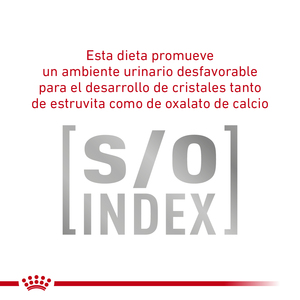 Royal Canin Veterinary Diet Alimento Húmedo para Tracto Urinario Calorías Moderadas para Perro Adulto, 368 g