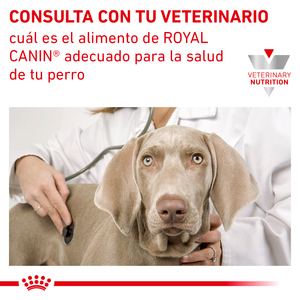 Royal Canin Veterinary Diet Alimento Húmedo para Tracto Urinario Calorías Moderadas para Perro Adulto, 368 g