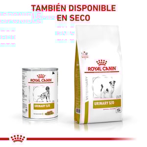 Royal Canin Veterinary Diet Alimento Húmedo para Tracto Urinario Calorías Moderadas para Perro Adulto, 368 g