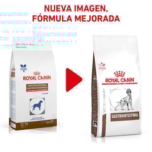Royal Canin Veterinary Diet Alimento Seco Gastrointestinal Alto en Energía para Perro Adulto, 10 kg