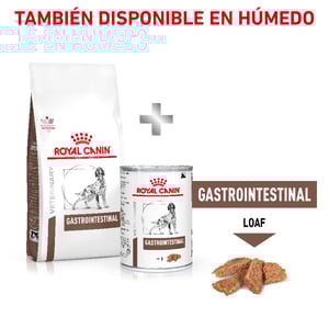 Royal Canin Veterinary Diet Alimento Seco Gastrointestinal Alto en Energía para Perro Adulto, 10 kg