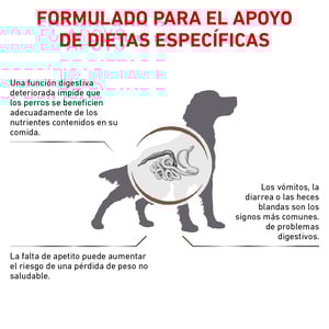 Royal Canin Veterinary Diet Alimento Seco Gastrointestinal Alto en Energía para Perro Adulto, 10 kg