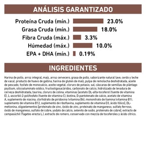 Royal Canin Veterinary Diet Alimento Seco Gastrointestinal Alto en Energía para Perro Adulto, 10 kg