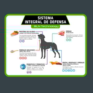 Tiër Holistic Alimento Natural para Perro Adulto Raza Mediana/Grande Receta Pollo, 15 kg
