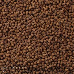 Mazuri Hedgehog Diet Alimento Seco para Erizos e Insectívoros, 950 g