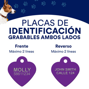 Hillman Group Placa de Identificación Grabable Diseño Corazón Morado para Perro/ Gato, Chico
