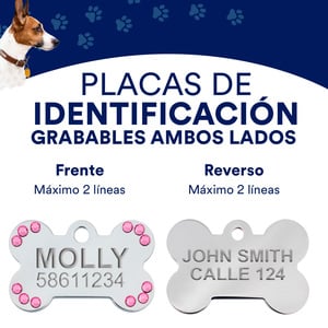 Hillman Group Placa de Identificación Grabable Diseño Diva y Destellos para Perro, Chico