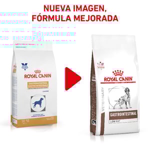 Royal Canin Veterinary Diet Alimento Seco Gastrointestinal Bajo en Grasa para Perro Adulto, 13 kg
