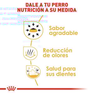 Royal Canin Alimento Seco para Perro Adulto Raza Chihuahua, 4.5 kg
