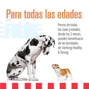Livelong Healthy & Strong Alimento Natural Húmedo para Perro Todas las Edades Receta Salmón/Camote, 354 g