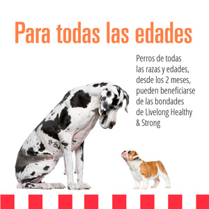 Livelong Healthy & Strong Alimento Natural Húmedo para Perro Todas las Edades Receta Salmón/Camote, 354 g
